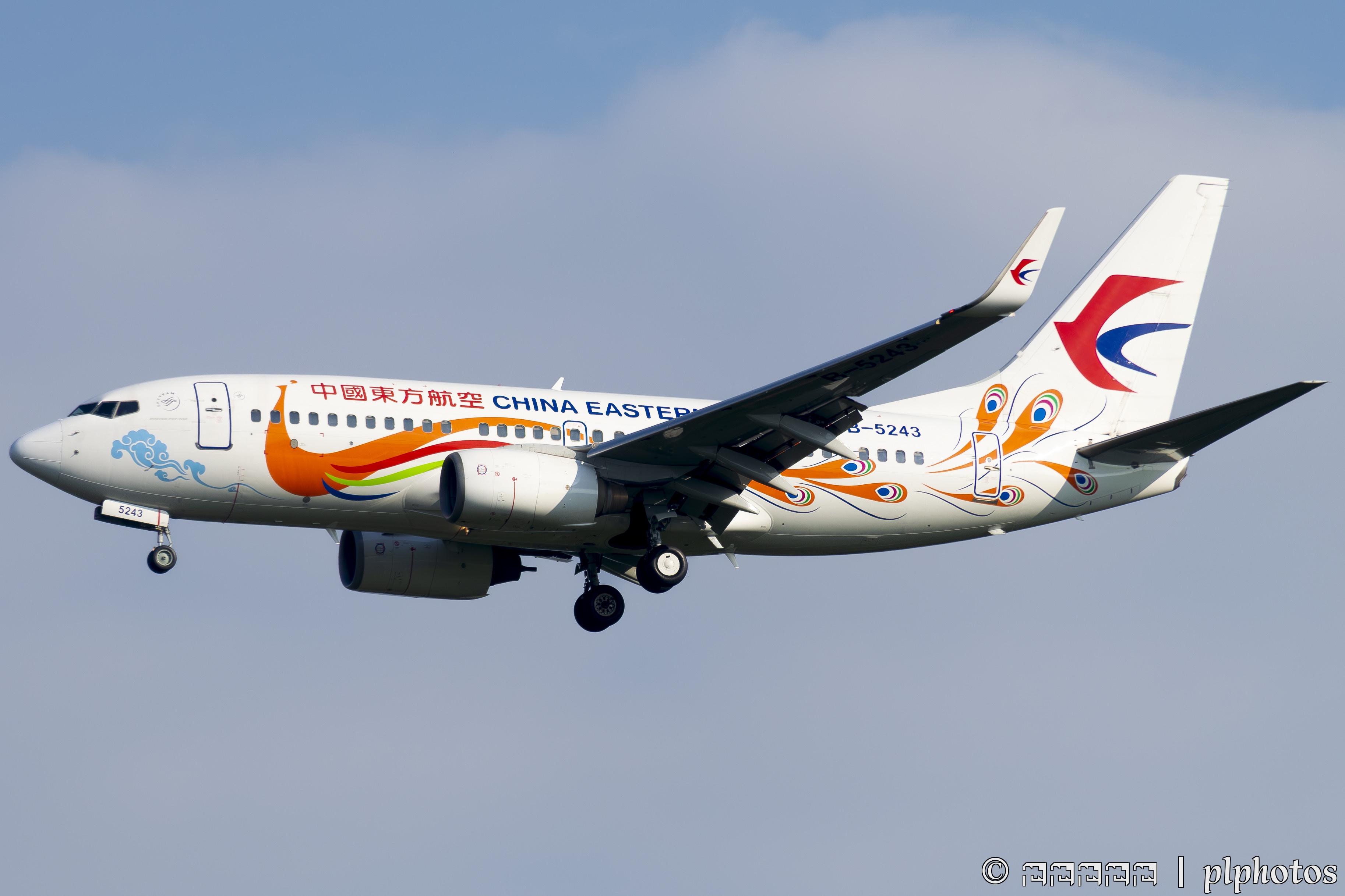 东航737