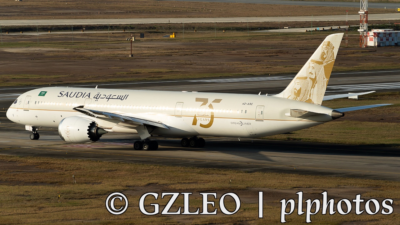 沙特75周年彩绘